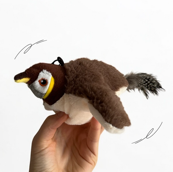 Oiseau magique rechargeable avec herbe a chat